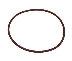 Oring piasty 09-> 101,19x3,53