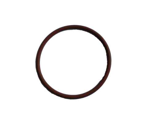 17279081 Oring obsady wtrysku Iveco Stralis Trakker Cursor 10/13 EuroCargo